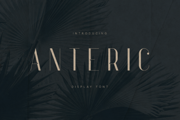 Anteric: A Refined Serif Font for Bold Brand Identity
