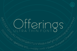 Elevate Your Brand with the Offerings Typeface