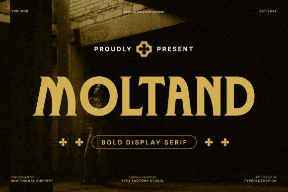 Moltand: A Bold Serif for Strong Design