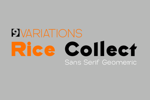 Rice Collect: The Bold Sans Serif for Clear Campaigns
