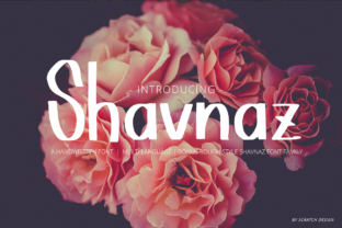 Shavnaz Font Review: A Casual Sans Serif for Modern Brands